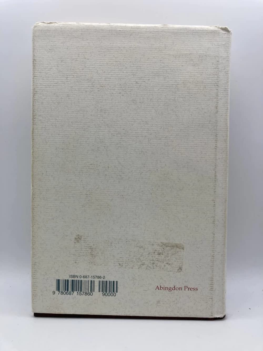 A Grammar for Biblical Hebrew (Revised Edition) by Seow, C.