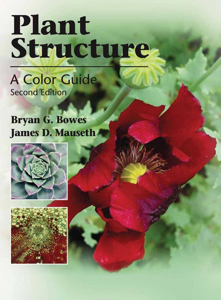 Plant Structure: A Colour Guide