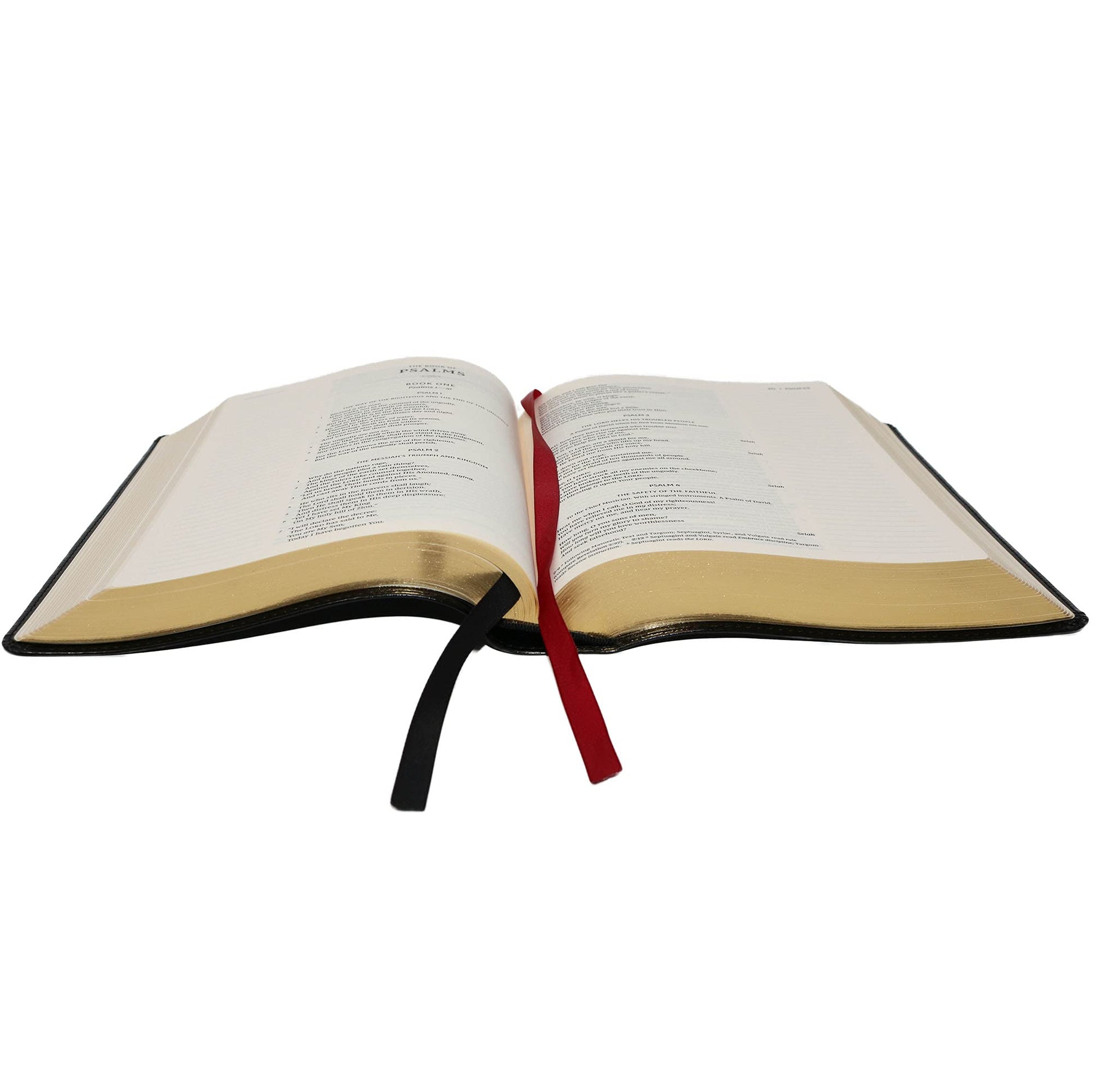 KJV Journal the Word Bible, Reflect, Journal or Create Art Next to Your Favorite Verses (Black Leathersoft over Board, Red Letter, Comfort Print: King James Version Holy Bible)