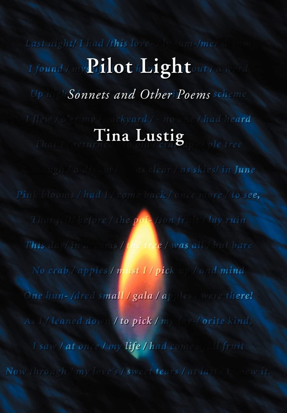 Pilot Light: Sonnets and Other Poems