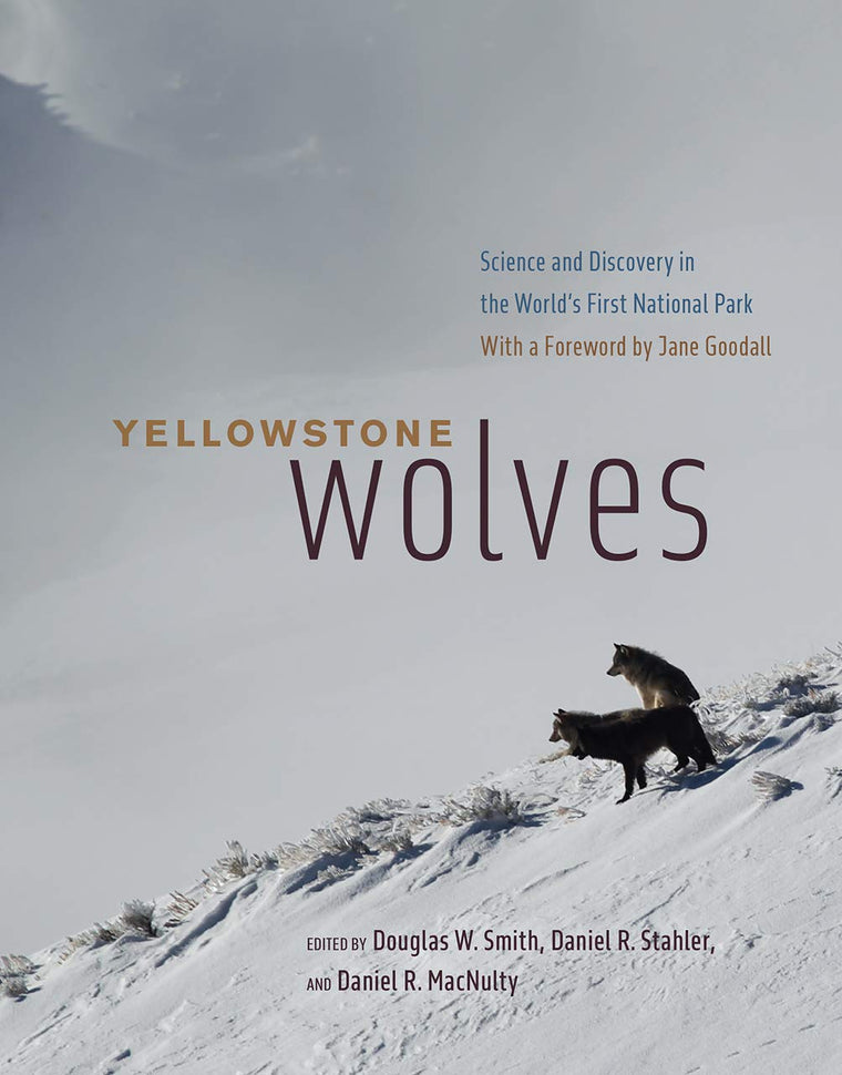 Yellowstone Wolves: Science and Discovery in the World's First National Park