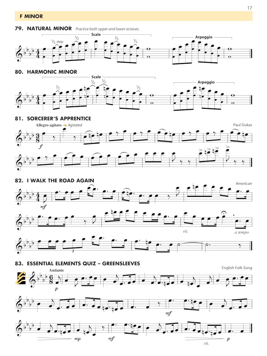 Essential Elements For Band - Flute Book 3 with EEi Online Resources  Flute Method Songbook and Sheet Music for School Band Students and Teachers  Intermediate to Advanced Studies