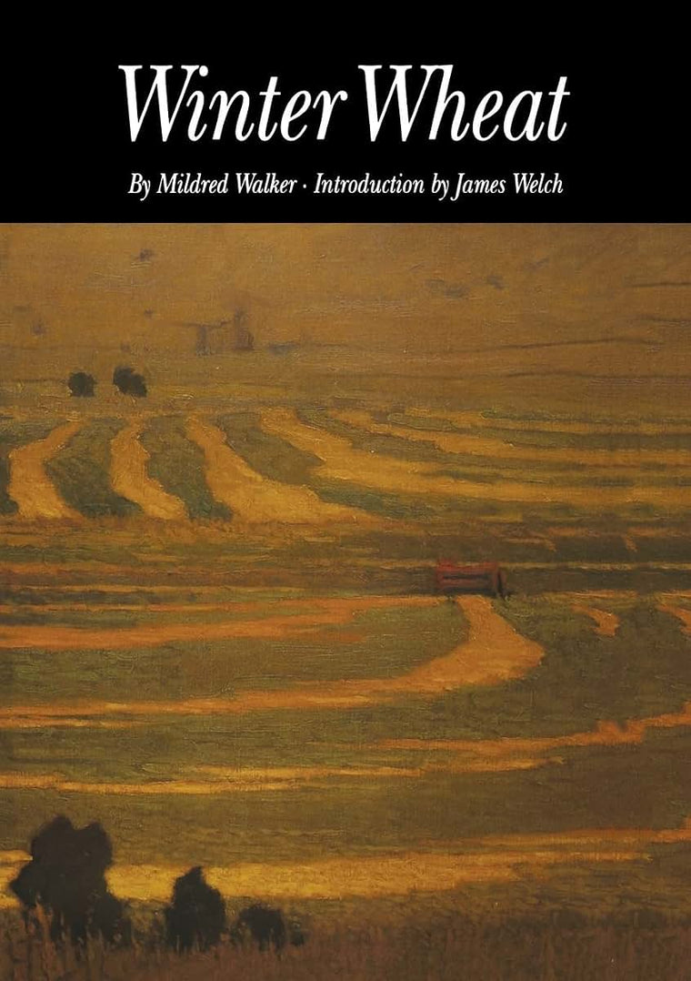 Winter Wheat