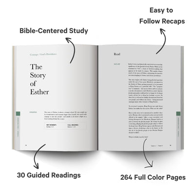 The Good and Beautiful Bible Study: Experiencing Stories From the Bible and What It Means for Our Lives Today