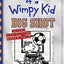 Diary of a wimpy kid: big shot (book 16)