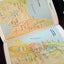 Biblia de estudio Explicada (Piel especial marrón claro) (Spanish Edition)
