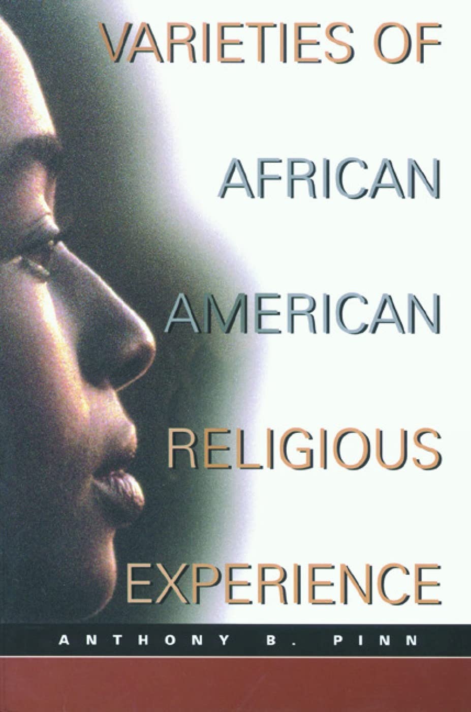 Varieties of African American Religious Experience (New Vectors in the Study of Religion and Theology)