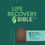 NLT Life Recovery Bible, Second Edition (LeatherLike, Rustic Brown)