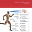 Exercise on Brain Health (Volume 147) (International Review of Neurobiology, Volume 147)