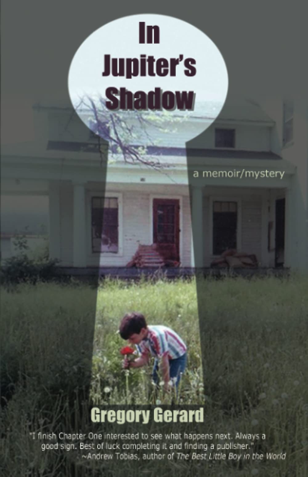In Jupiter's Shadow