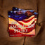 An American Story (Coretta Scott King Illustrator Award Winner)
