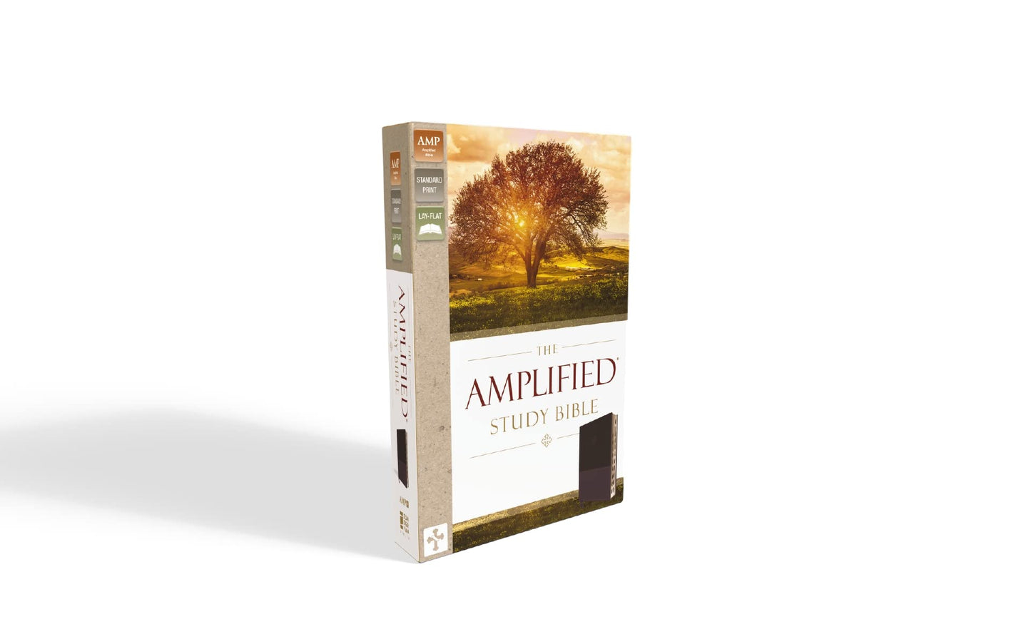 The Amplified Study Bible, Leathersoft, Purple, Thumb Indexed