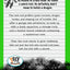 Dragon Diaries (Dragon Diaries-Dyslexia-Friendly, Funny, Illustrated Chapter Books for Kids Ages 6-10)