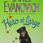 Hero at Large