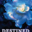 Destined (Wings, 4)