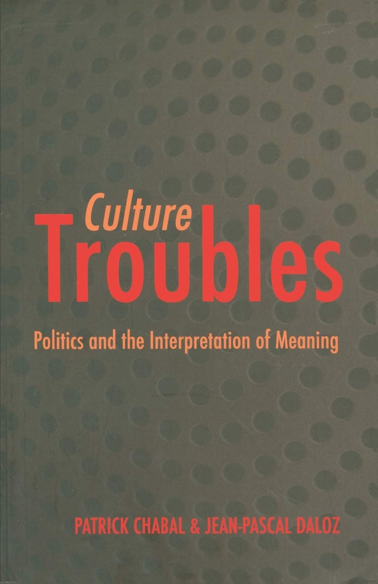 Culture Troubles: Politics and the Interpretation of Meaning