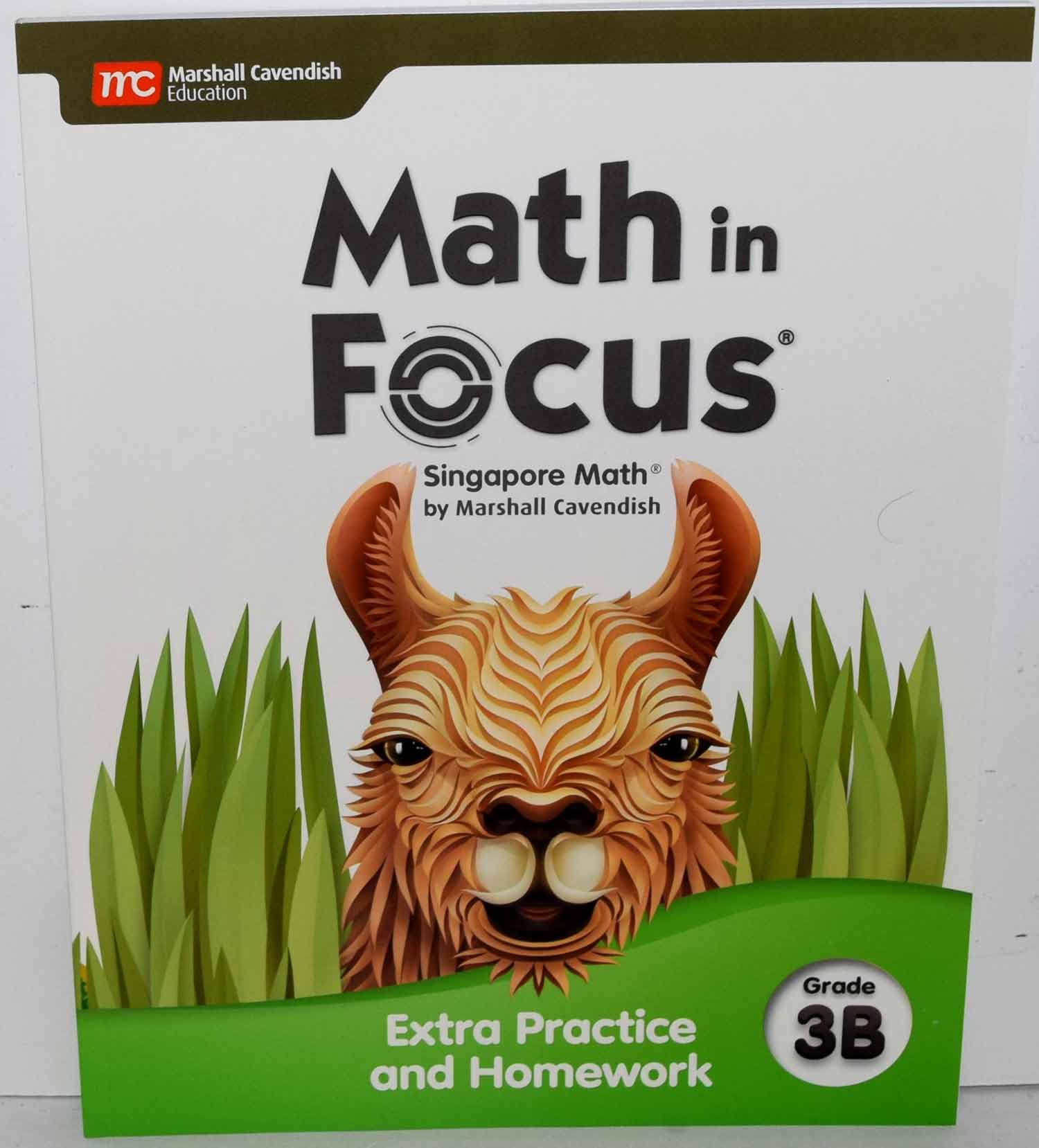 Extra Practice and Homework Volume B Grade 3 (Math in Focus)