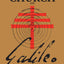 Church and Galileo (Studies in Science and the Humanities from the Reilly Center for Science, Technology, and Values)