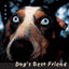 Dog's Best Friend: Annals of the Dog-Human Relationship