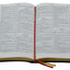 Douay-Rheims Bible {Standard size - Black Flex Cover}