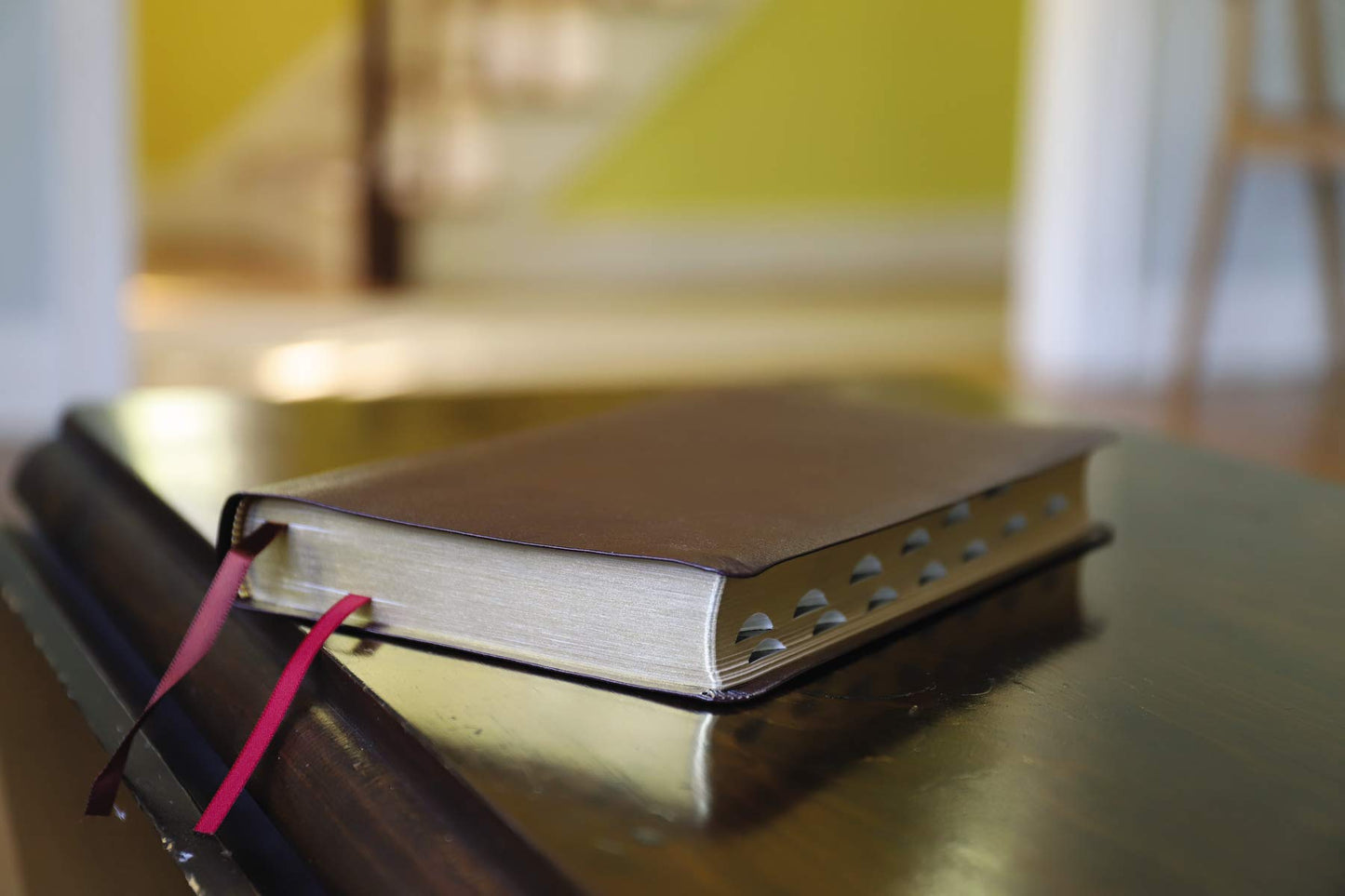 NIV, Thinline Reference Bible (Deep Study at a Portable Size)