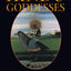Hindu Goddesses: Visions of the Divine Feminine in the Hindu Religious Tradition (Hermeneutics: Studies in the History of Religions) (Volume 12)