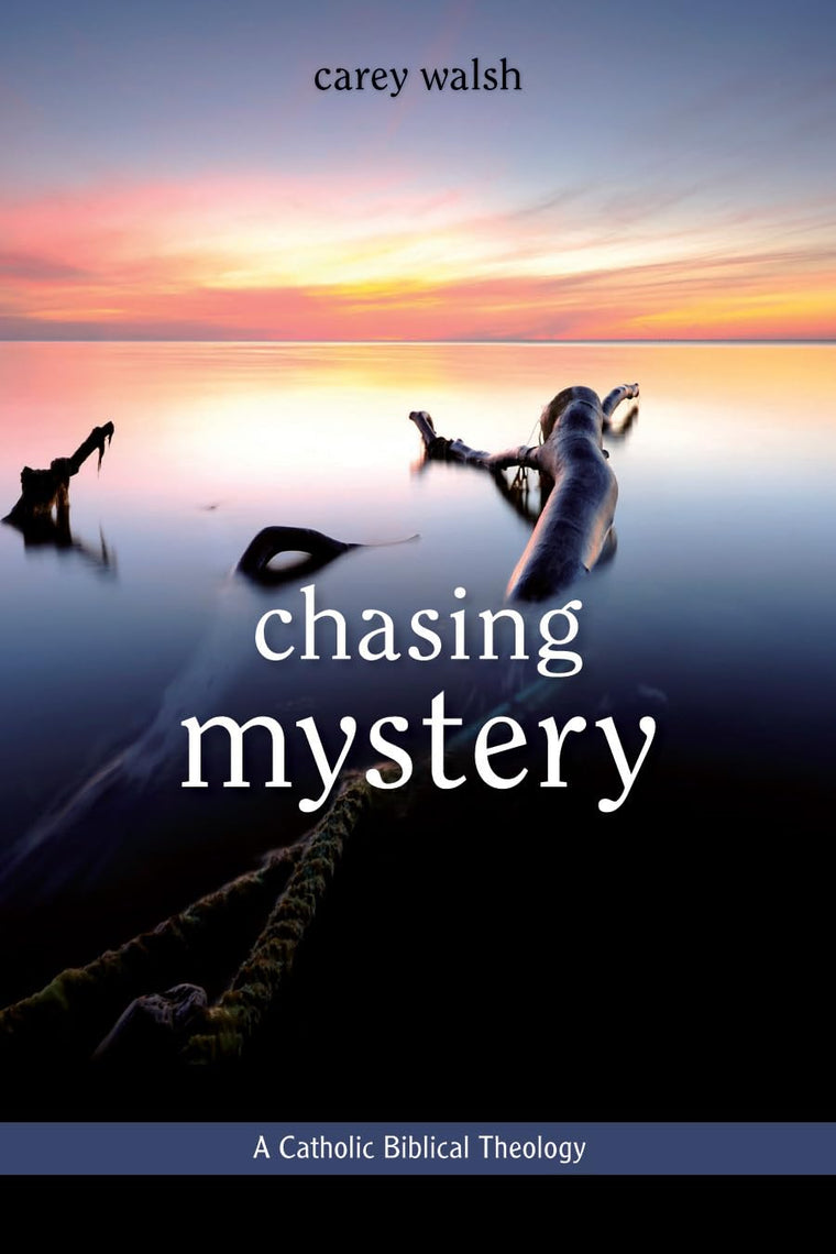 Chasing Mystery: A Catholic Biblical Theology