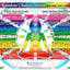 SET 4 CHARTS: REFLEXOLOGY-FOOT & HAND, CHAKRAS, & IRIDOLOGY (EYE Reflexology). in Inner Light Resources RAINBOW Charts Series. 8.5 x 11 in. (Small Poster/ Large Cards)