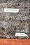 Untying Things Together: Philosophy, Literature, and a Life in Theory