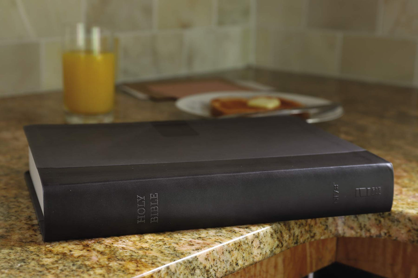 NIV, Super Giant Print Reference Bible, Leathersoft, Gray, R