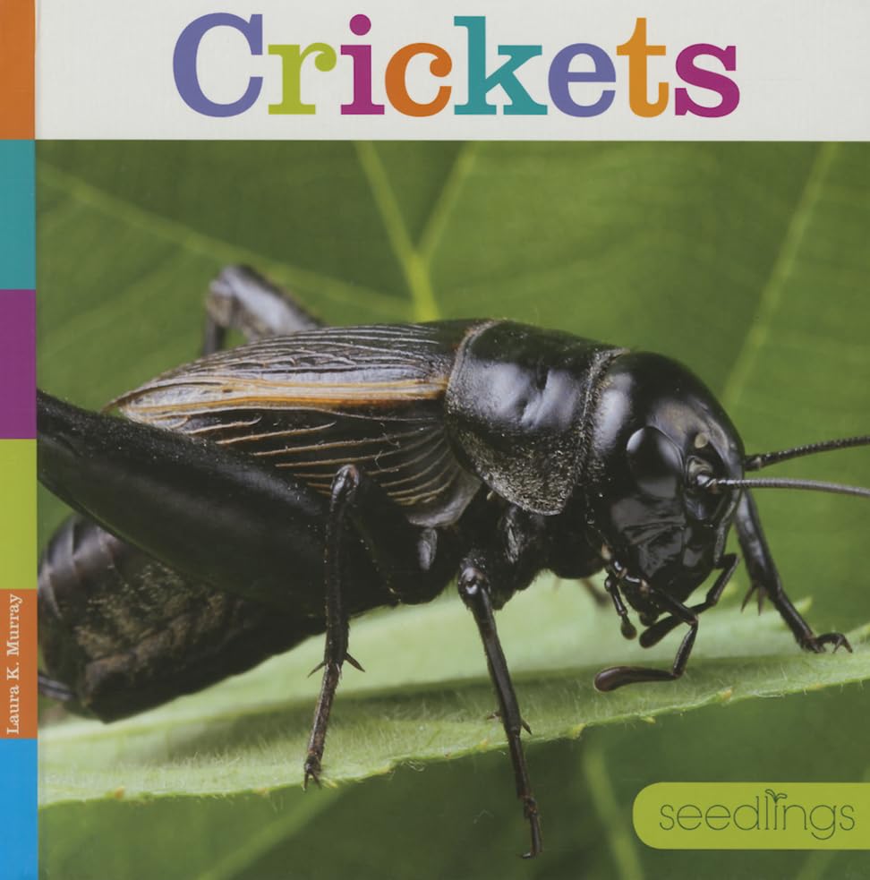 Crickets (Seedlings)