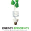 Energy Efficiency: Towards the End of Demand Growth