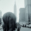 When Elephants Come to Town: A Visual Anthology