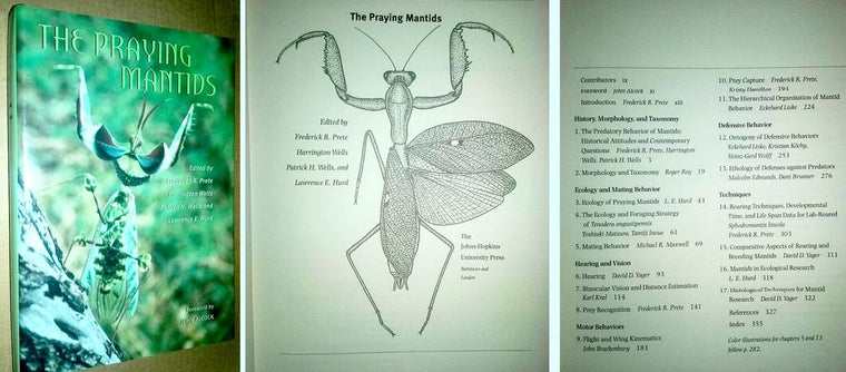 The Praying Mantids