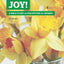 Joy!: A Bible Study on Philippians for Women (Delighting in the Word)