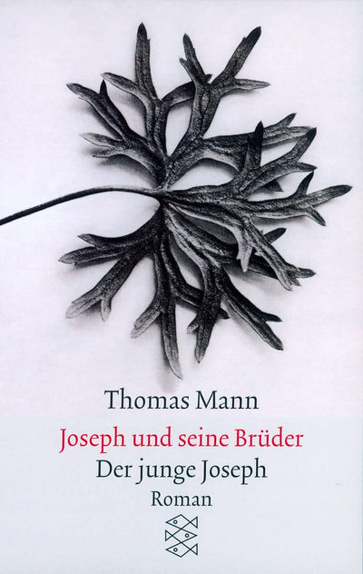 Joseph und seine Brder II. Der junge Joseph. Roman.