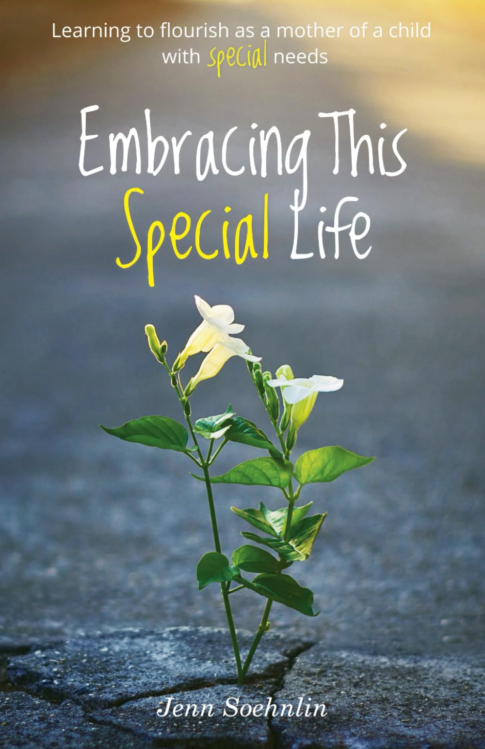Embracing This Special Life: Learning To Flourish as a Mother of a Child with Special Needs