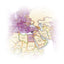 Cyprus Map (National Geographic Adventure Map, 3318)