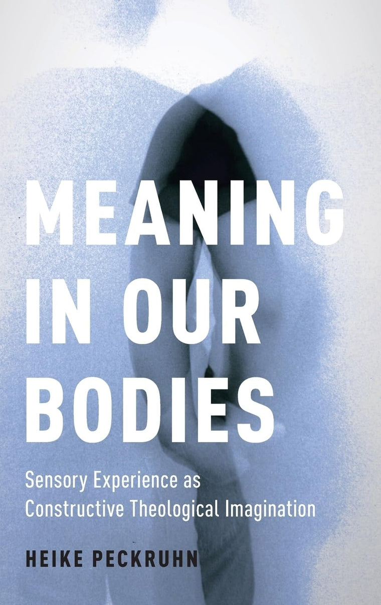 Meaning in Our Bodies: Sensory Experience as Constructive Theological Imagination (AAR Academy Series)