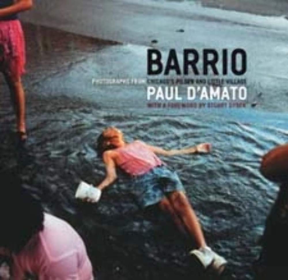 Barrio: Photographs from Chicago's Pilsen and Little Village (Chicago Visions and Revisions)