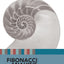 Fibonacci Analysis