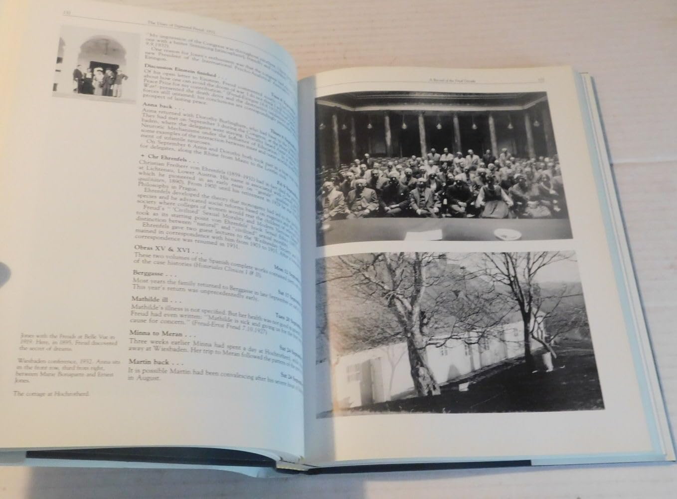 The Diary of Sigmund Freud, 1929-1939: A Record of the Final Decade