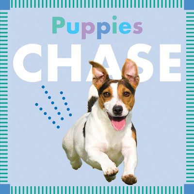 Puppies Chase (Amicus Ink Board Books)