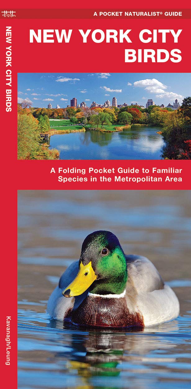 New York City Birds: A Folding Pocket Guide to Familiar Species in the Metropolitan Area (Wildlife and Nature Identification)