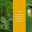 Caterpillar to Butterfly (Science for Toddlers)