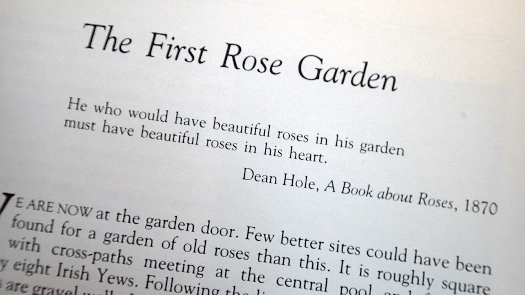 The Art of Gardening With Roses