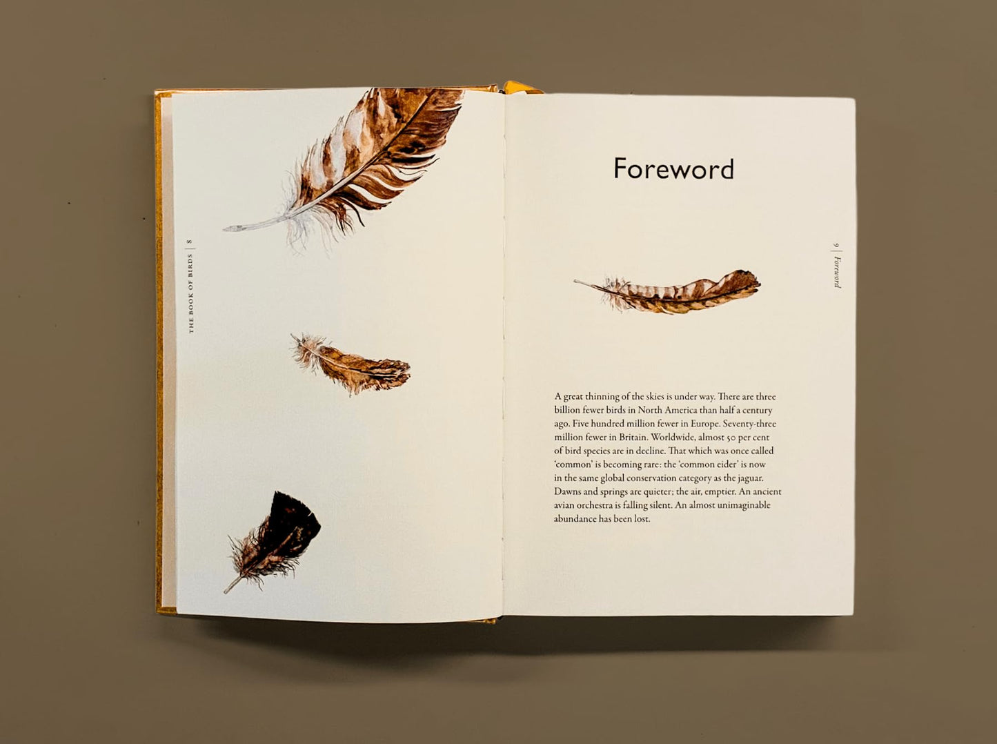 The Book of Birds: A Field Guide to Wonder and Loss