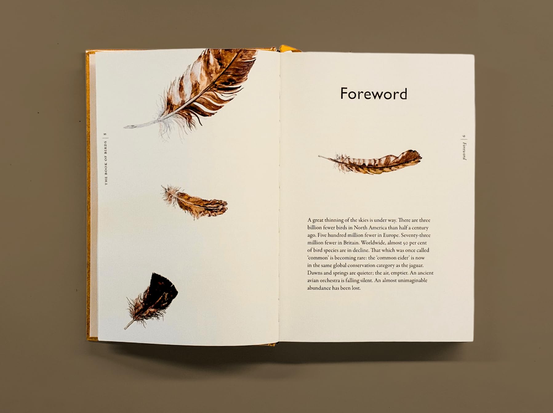 The Book of Birds: A Field Guide to Wonder and Loss