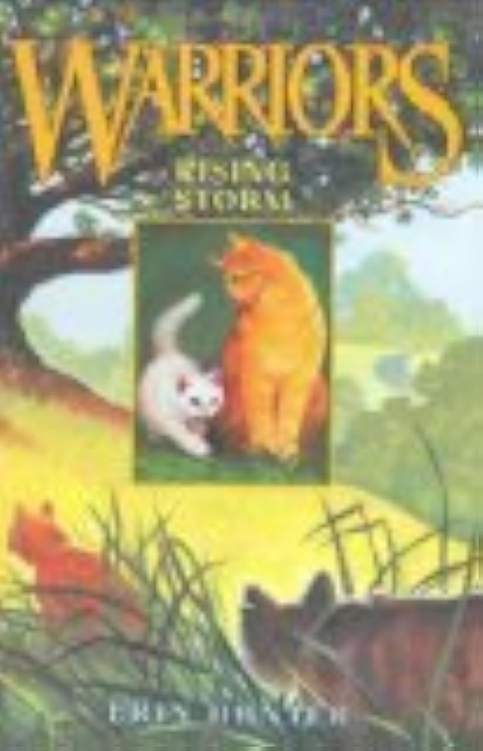 Rising Storm (Warriors, Book 4)