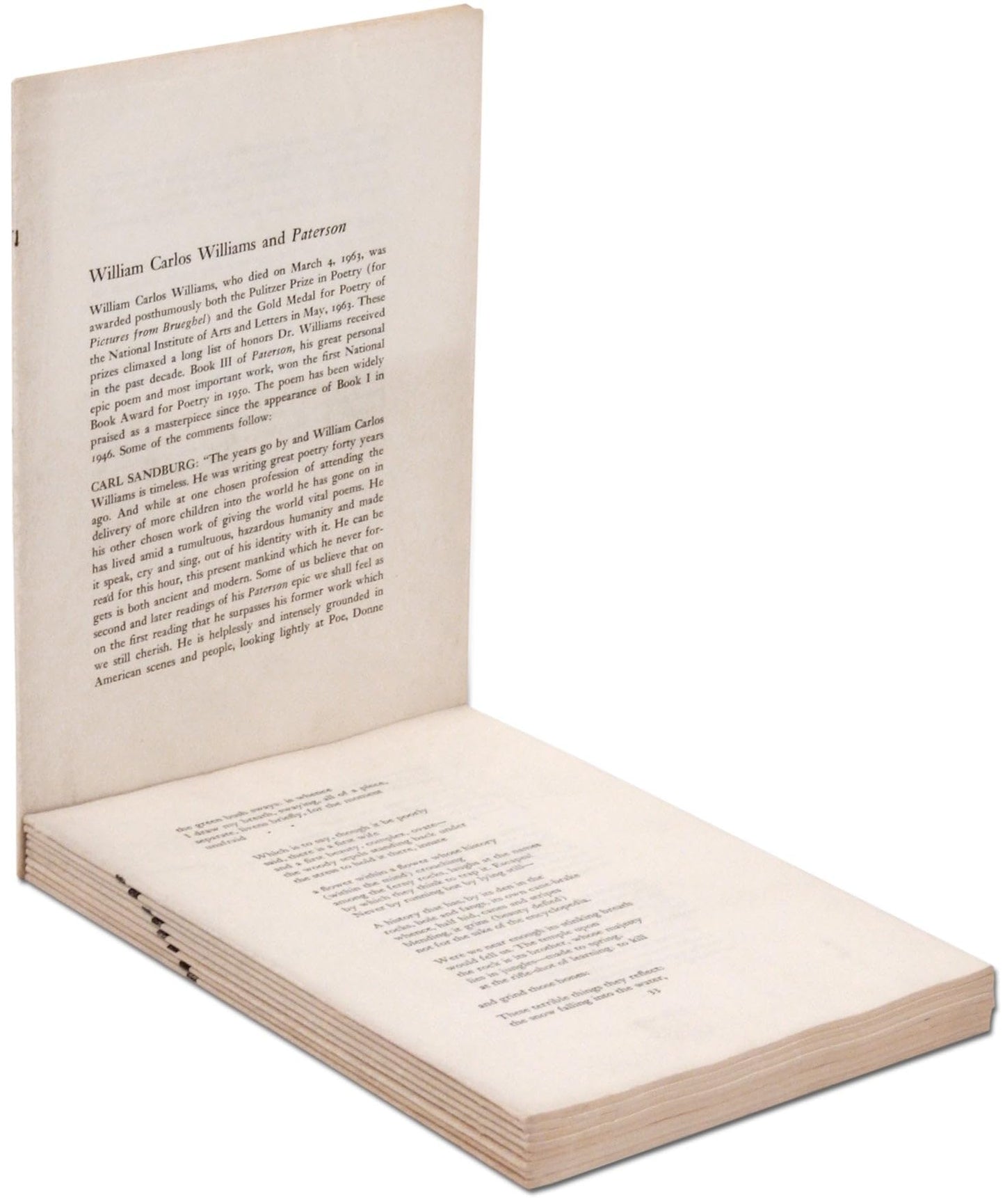 Paterson by William Carlos Williams